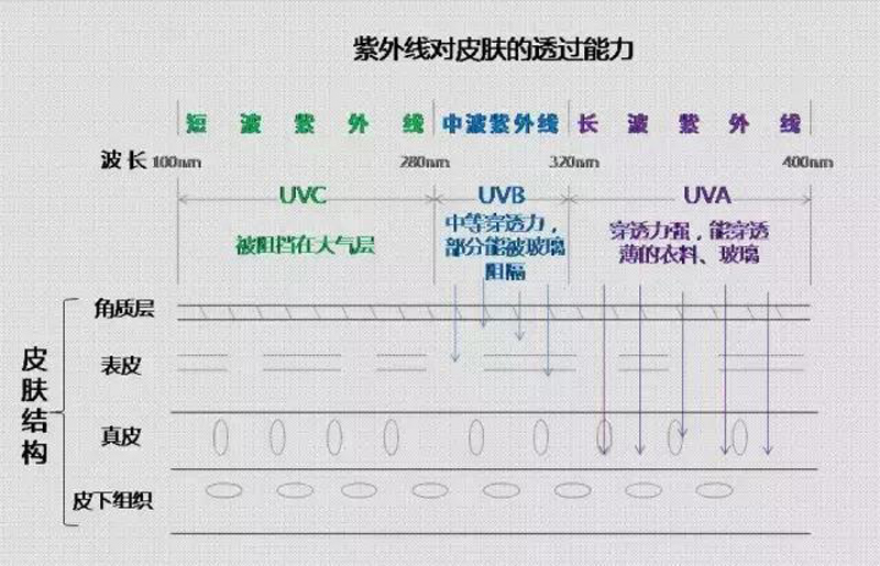 遮阳伞