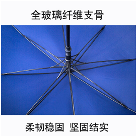 全玻璃纤维支骨