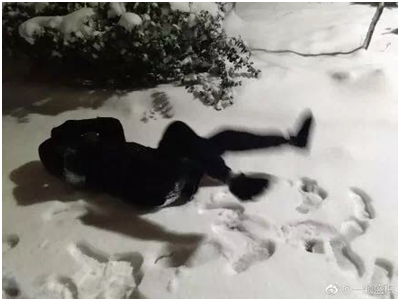 雪地照