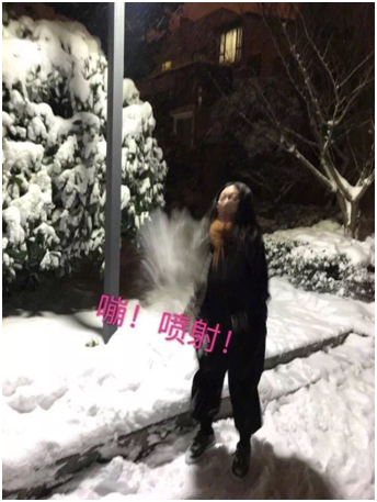 雪地照