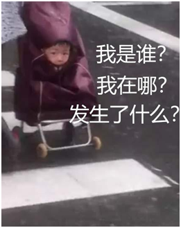 一脸懵逼的娃