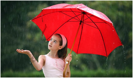 暴雨专用雨伞