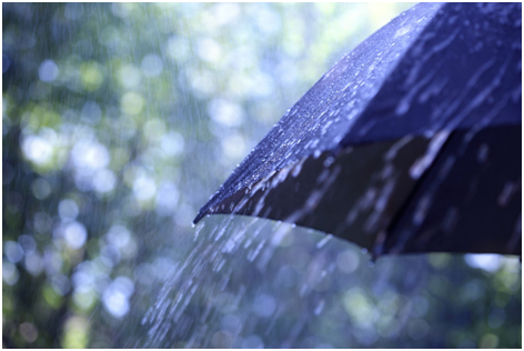 暴雨专用雨伞