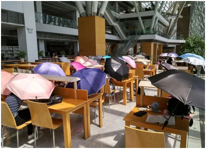 撑雨伞看书