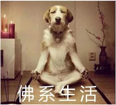 佛性生活