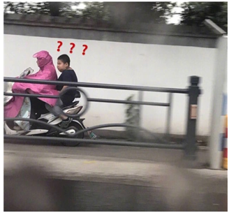 虐宝记