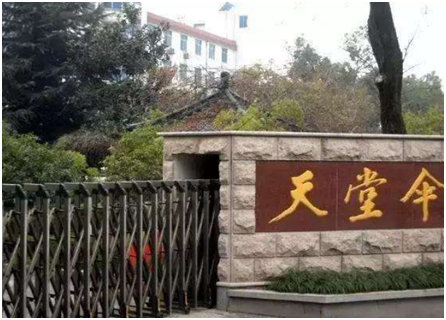 天堂伞